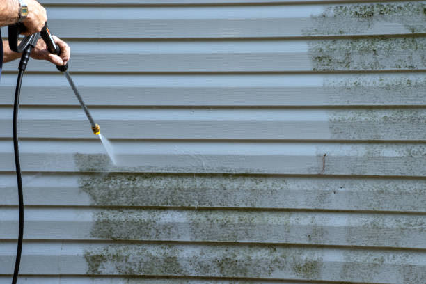 Best Storm Damage Siding Repair  in Mound, MN